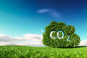 net-zero carbon explained